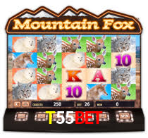 Jogos Exclusivos T55Bet